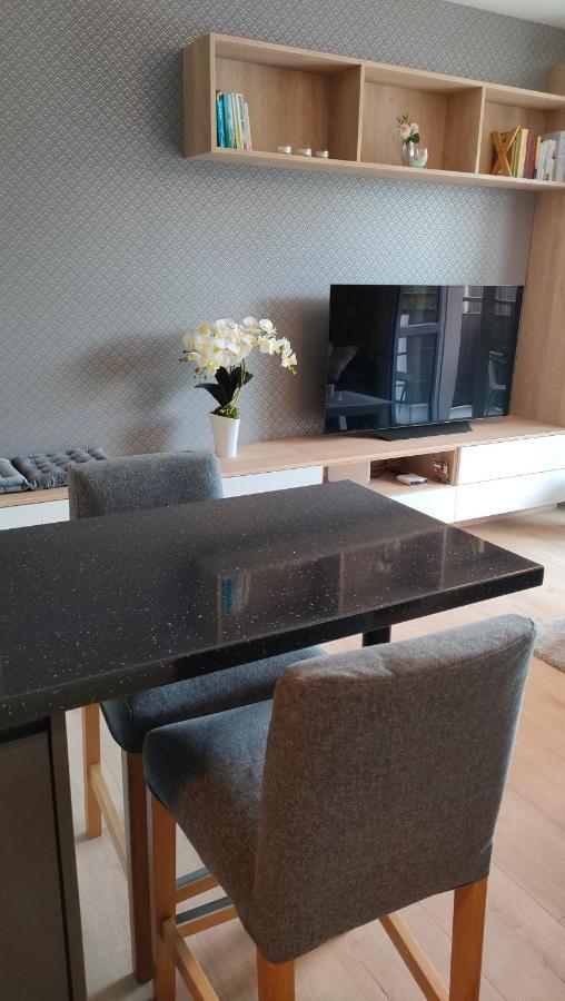 Apartment Azul Cieszyn (Silesia)